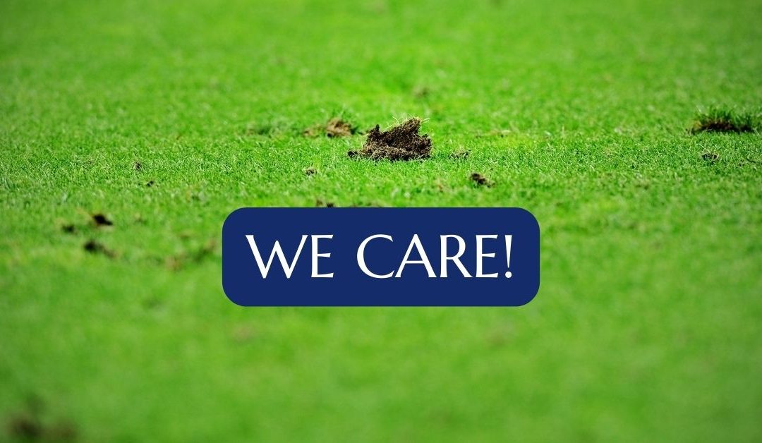 green lawn turf ripped up, with the statement - we care!