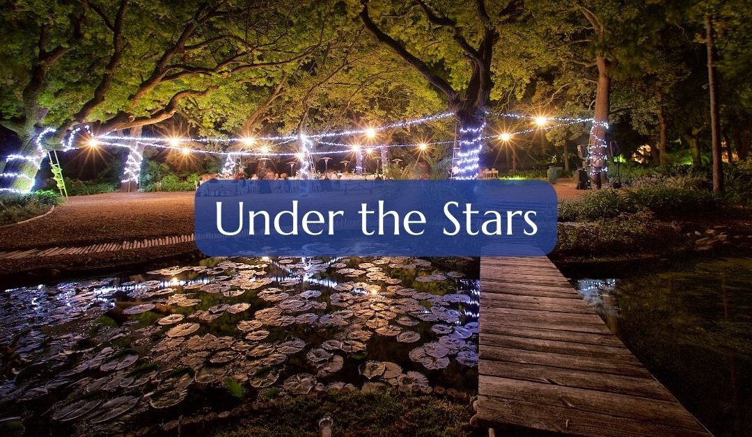 PURVIS MARQUEE HIRE - Under the Stars
